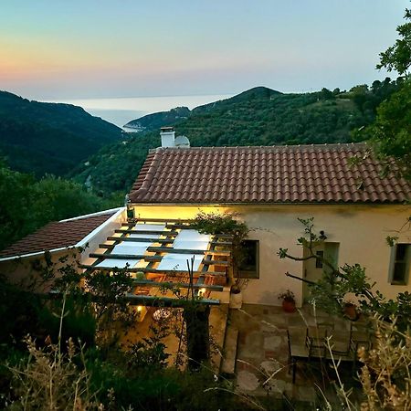Olive Mill Cottage 스코펠로스 타운 외부 사진